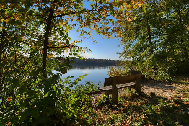 化及其影响 化及其影响