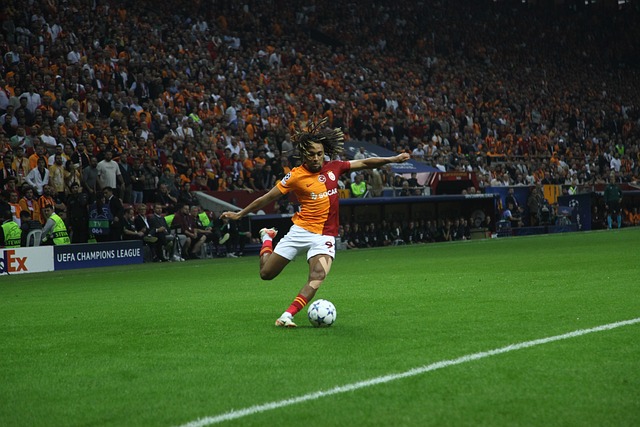 为主题的感 为主题的感