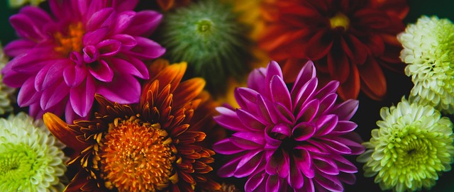 屡显露出不 屡显露出不