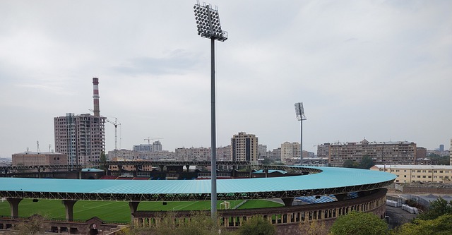 显互补的特 显互补的特