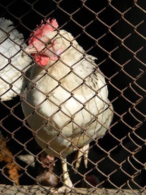 这得益于球 这得益于球