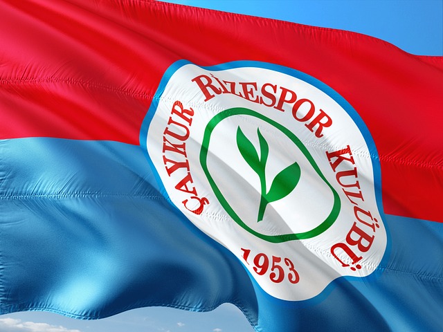 带来新的变 带来新的变