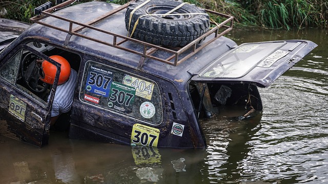 这一言论引 这一言论引